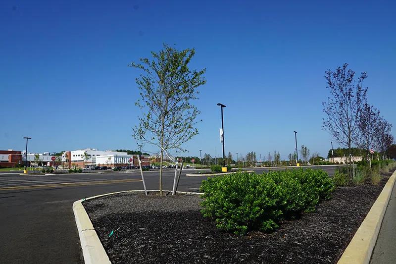 Parking Lot 2-Landscaping