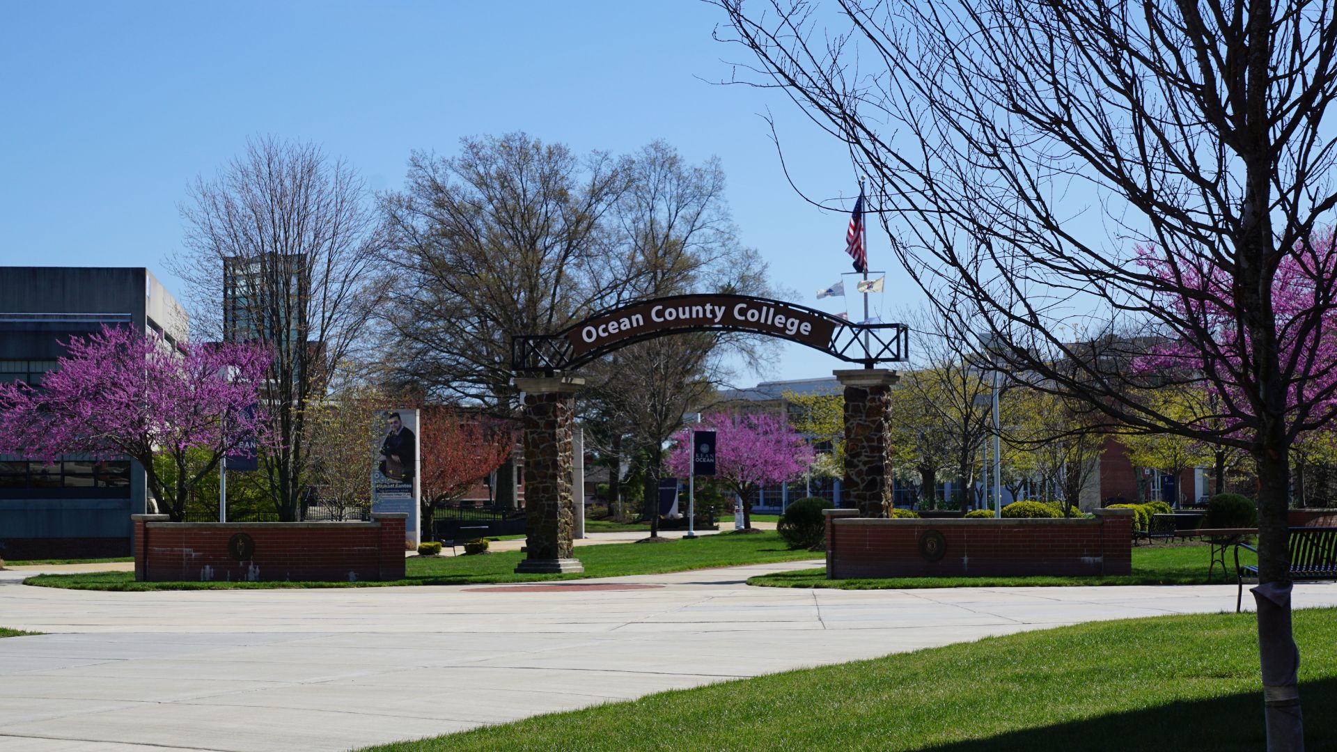OCC Campus mall with cherry blossom blooming