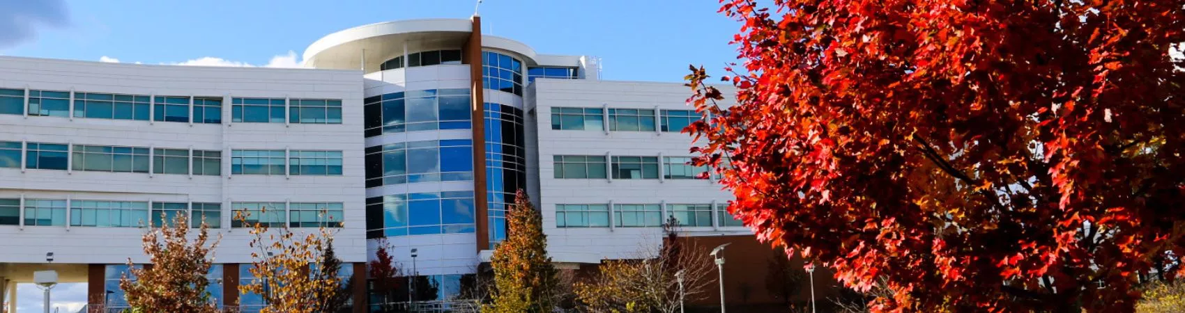 Building on campus with trees